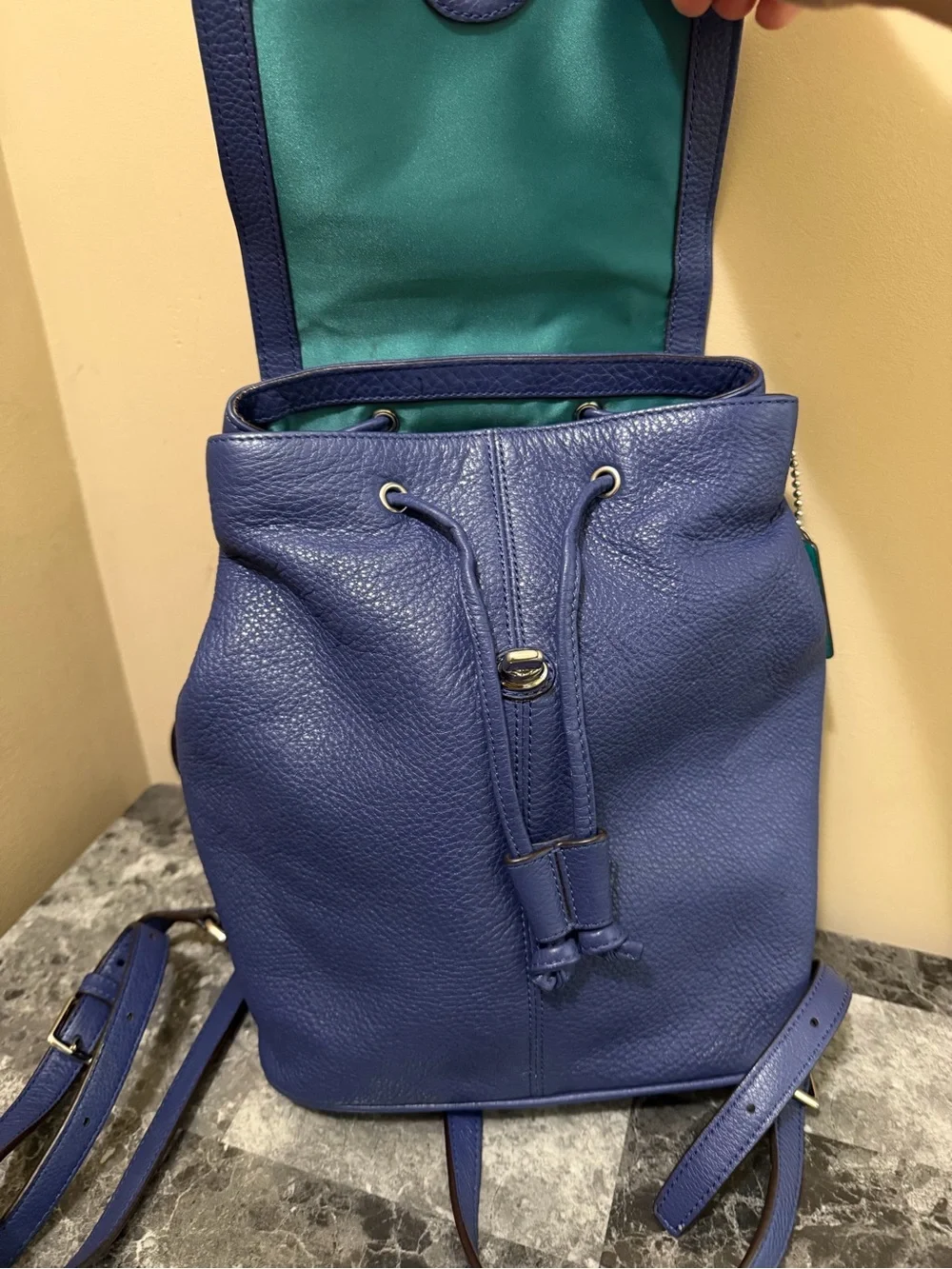 Coach Park Leather Backpack French Blue Royal Teal Lining Mini Shoulder Bag